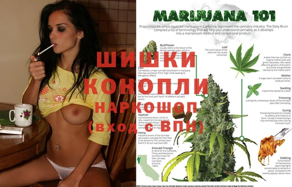 крисы Надым