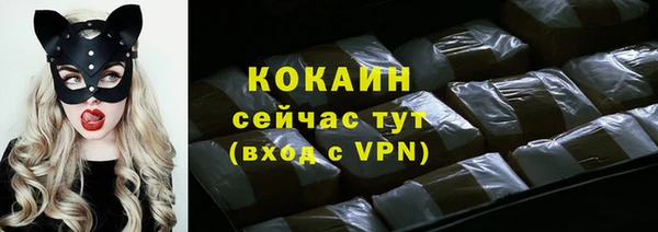 крисы Надым