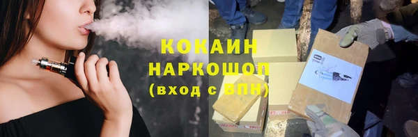 крисы Надым