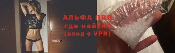 крисы Надым