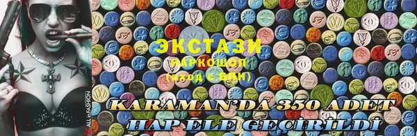 крисы Надым
