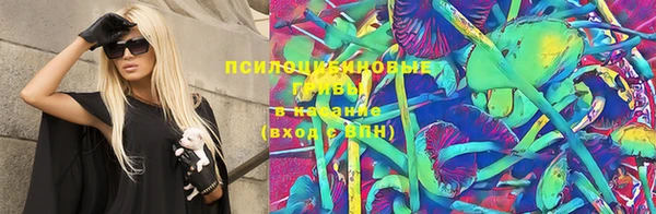 крисы Надым