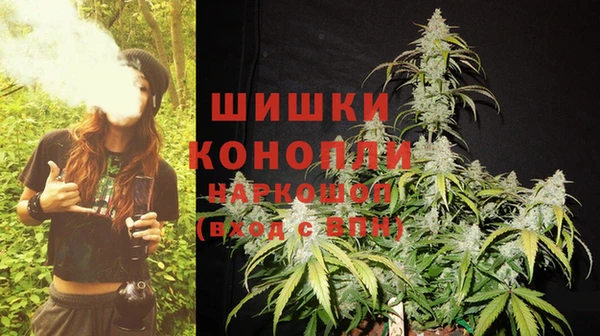 крисы Надым
