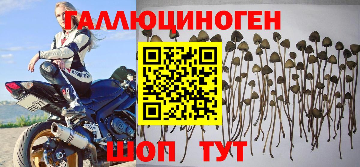Гашиш  Всеволожск  ЭКСТАЗИ  Амфетамин кристаллы  Мефедрон кристаллы  Марихуана  МДМА  Вход с VPN 